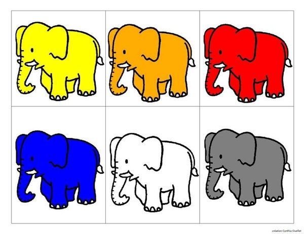 les éléphants et couleurs