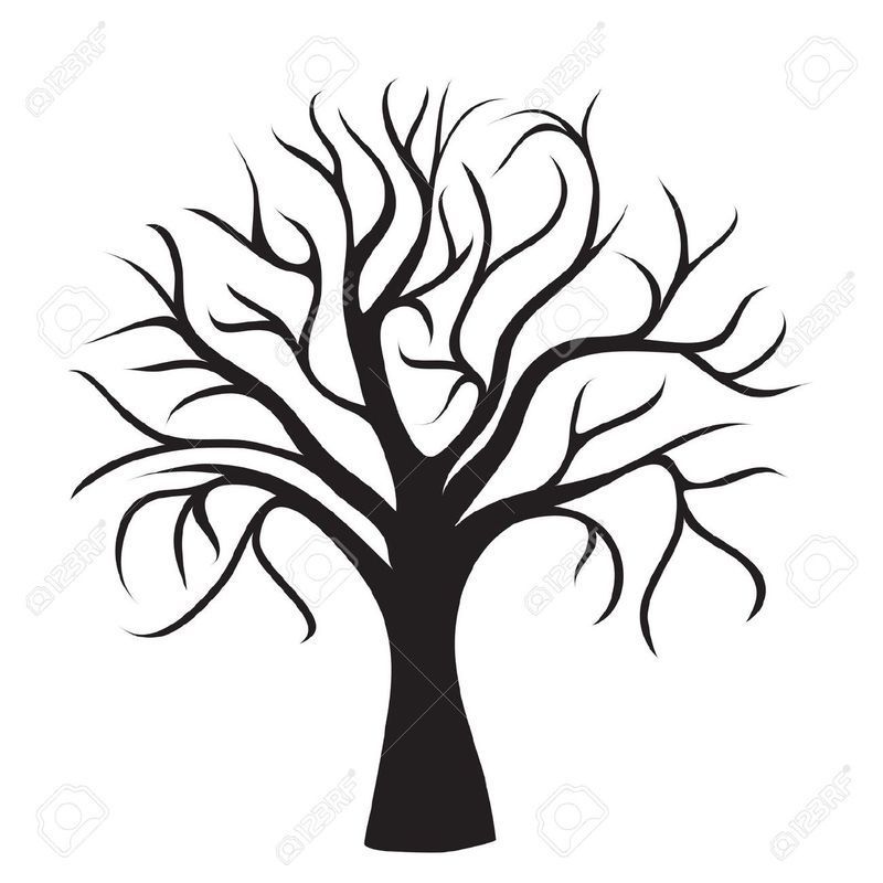 13495691-arbre-noir-sans-feuilles-sur-fond-blanc-image-vectorielle-Banque-images.jpg