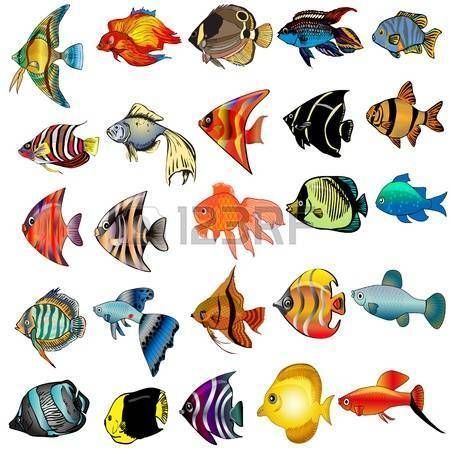 14471906-illustration-kit-fish-is-insulated-on-white-background