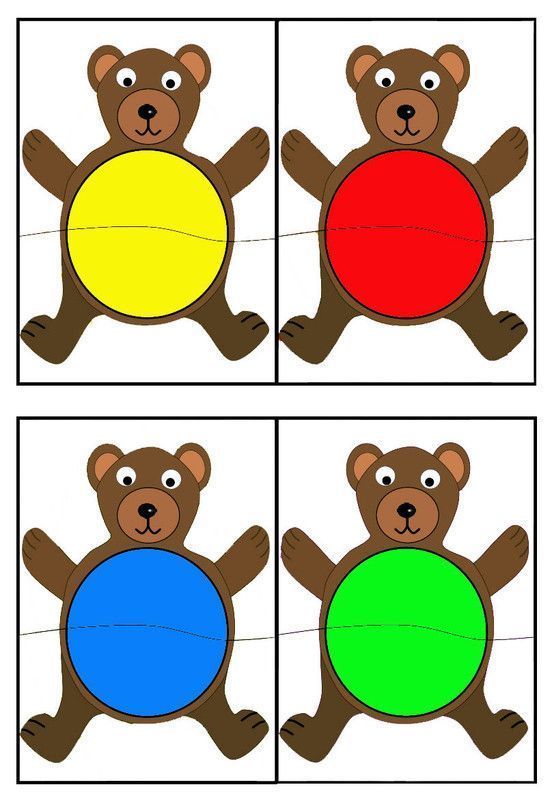 petits ours en couleurs