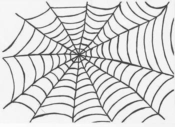 collage d'araignée