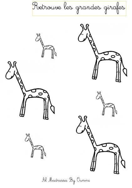 42097579grandes-girafes-pdf-page-001