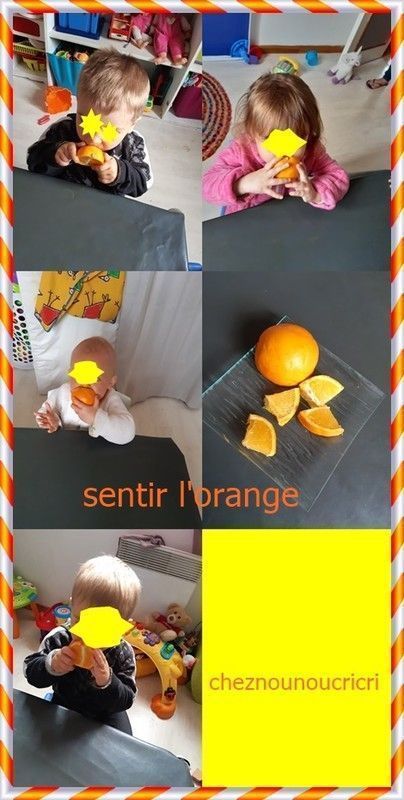 dégustation des oranges !!