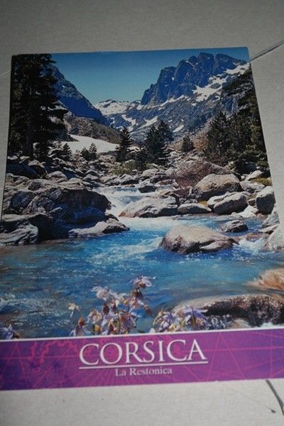 reçu carte postale de Corse et remerciement de leur mariage
