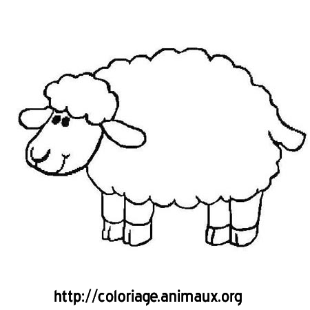 dessin mouton