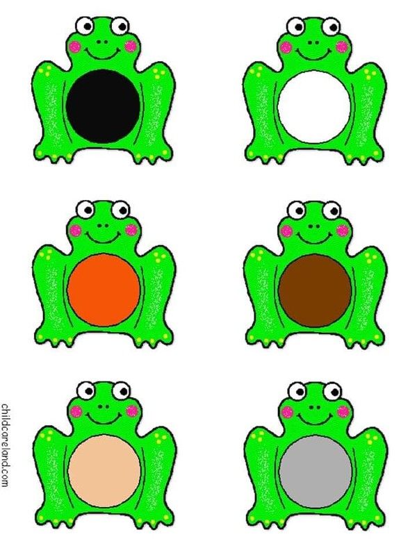 les grenouilles et couleurs