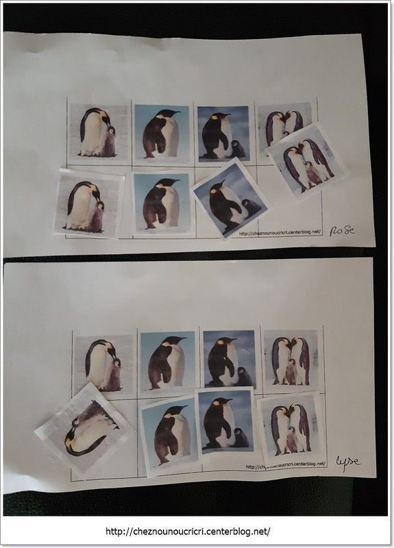 collage de pingouins