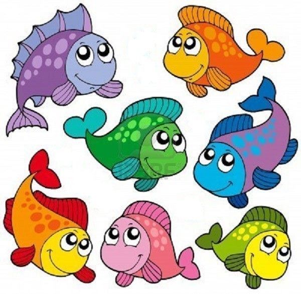 les poissons pour l'aquarium