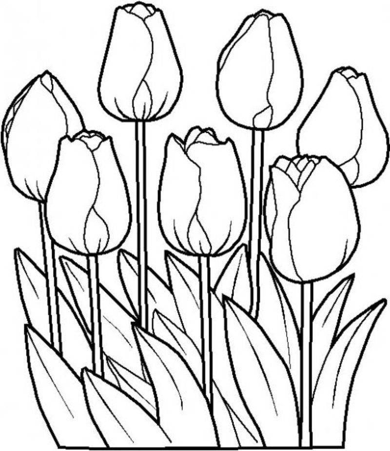 9-dessins-colorier-fleurs-g.jpg