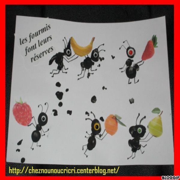 les fourmis font leurs réserves de fruits