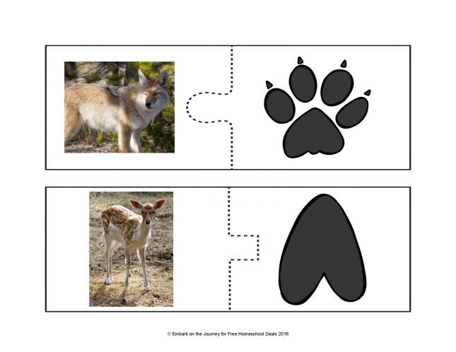 Animal-Track-Puzzles-FINAL-page-004