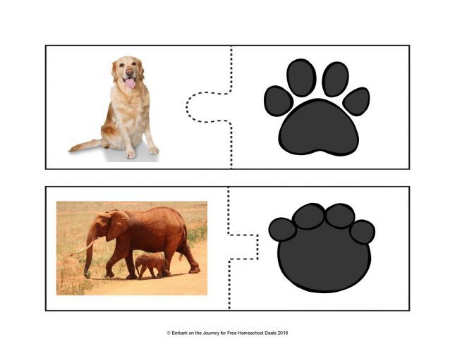 Animal-Track-Puzzles-FINAL-page-005