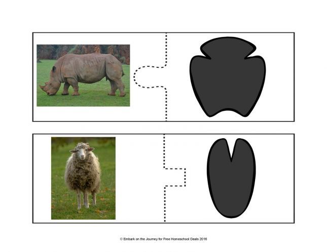 Animal-Track-Puzzles-FINAL-page-012