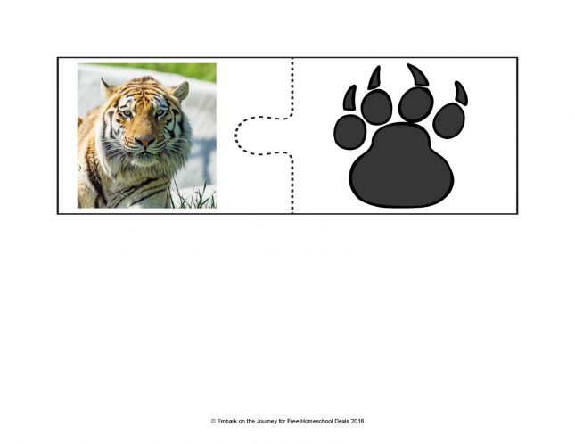 Animal-Track-Puzzles-FINAL-page-013