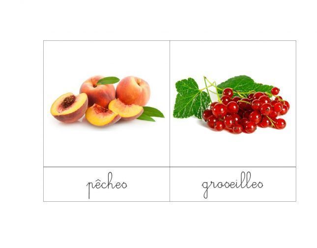 CARDS-FruitsVegetables-Summer-page-002
