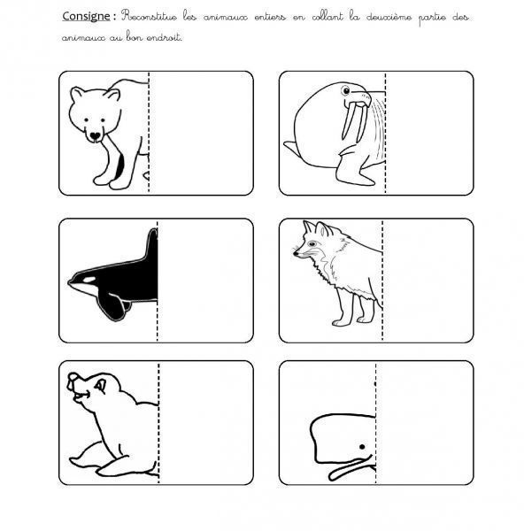 Fiche_-_Moitis_d_animaux-page-001
