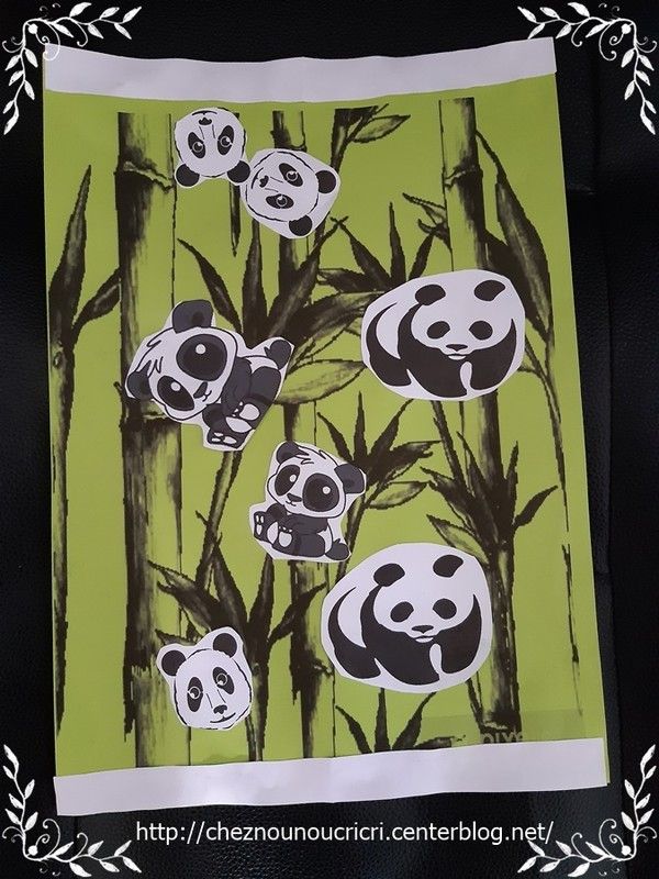 tableau visuel " panda "