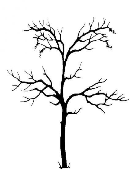 arbre-silhouette-page-008