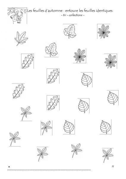 automne_collections_feuilles-page-001