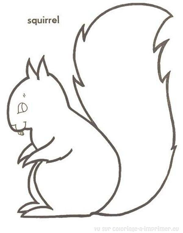 dessin écureuil