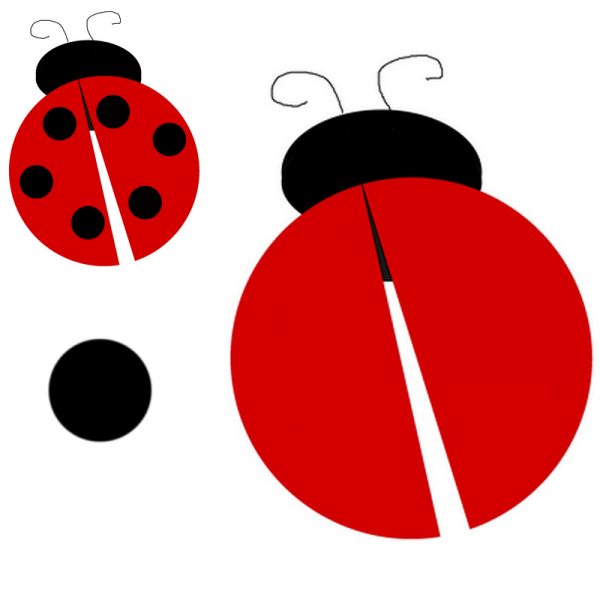 coccinelle_pate_a_modeler