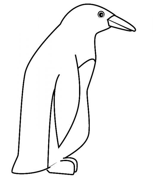 coloriage-pingouin-5