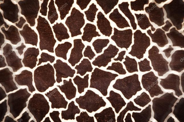 depositphotos_72616097-stock-photo-giraffe-skin-pattern-as-background