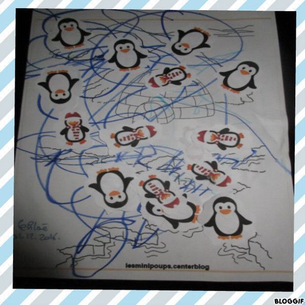 les pingouins sur la banquise