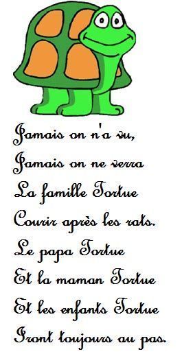 famille-tortue_1.jpg