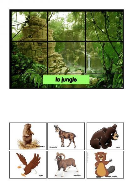 loto-habitat-animaux-sauvages-page-004