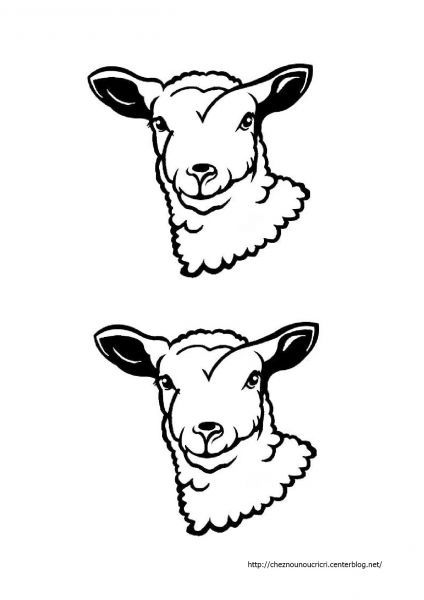 mouton-page-001