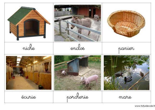 carte de nomenclature - Page 2