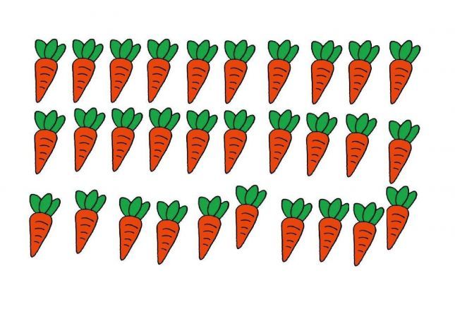 panier-carotte-page-004