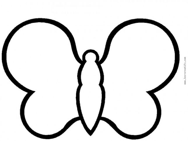 papillon-simple-a-completer-15854-660x400