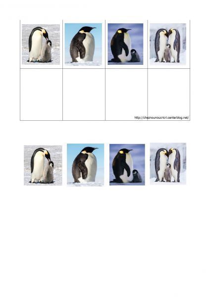 pingouin-page-001_2