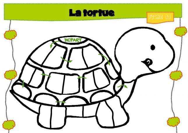 tortue-page-002