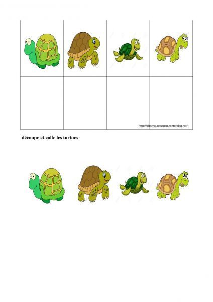 tortue_1-page-001