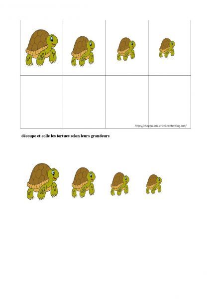 tortue_2-page-001